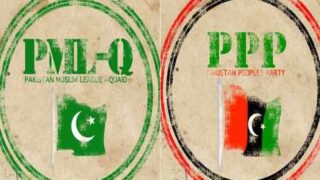 PPP, PML-Q
