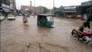 Peshawar Rain