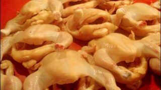 Poultry Meat