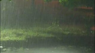 Rain