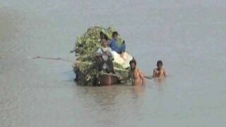 River