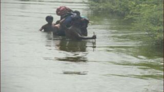 Sindh Flood