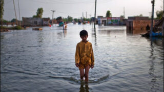 Sindh Punjab