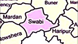 Swabi