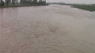 Water left in the Sutlej