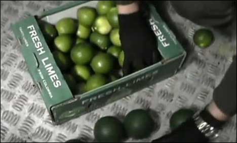 کولمبیا : یورپ اسمگل کی جانے والی ایک ٹن کوکین پکڑی گئی