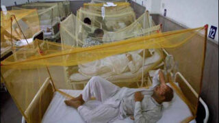 Dengue Karachi