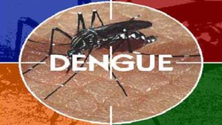 Dengue