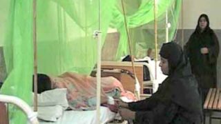 Dengue