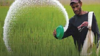 Fertilizer