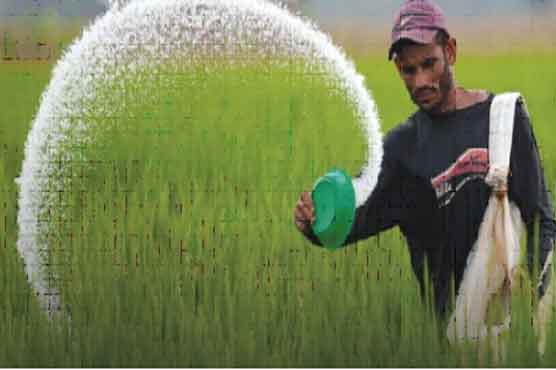 Fertilizer