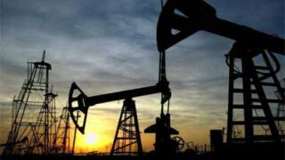 Oil