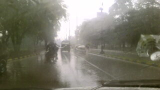 Rain