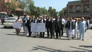 Rally held against lawyers