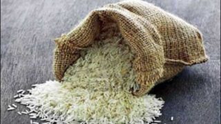 Rice