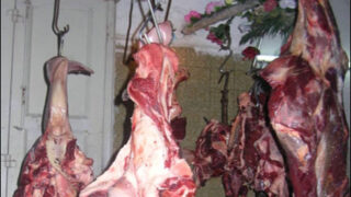 Stale meat