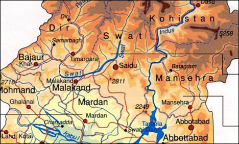 سوات : چچا گھریلو جھگڑے پر بھتیجی کو قتل کر کے فرار ہو گیا