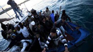 Syrian Refugee