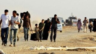 Syrians Refugees