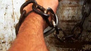 Accused Arrested