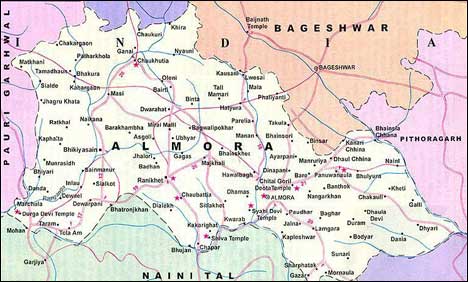 بھارتی شہر الموڑا کے رہائشی علاقے میں گھسنے والا چیتا پکڑ لیا گیا