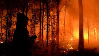 Australian Fire