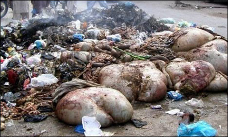 3 دن میں 55 ہزار قربانی کی آلائشوں کو تلف کیا، سی ڈی اے