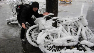 China Snow