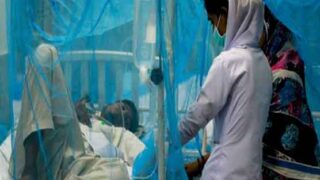 Dengue Patients