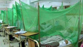 Dengue