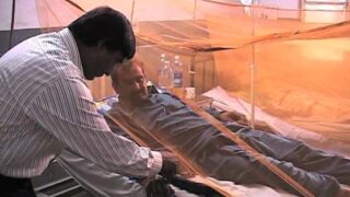 Dengue