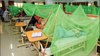 Dengue