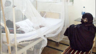 Dengue