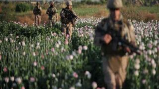 Drugs War