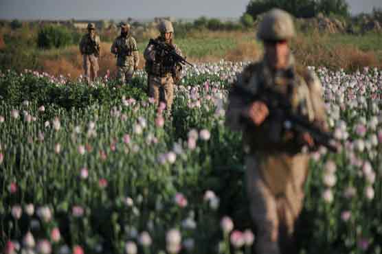 Drugs War