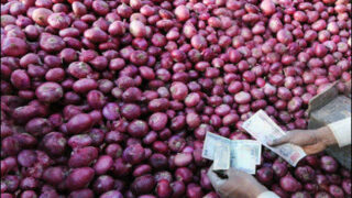 Indian Onions