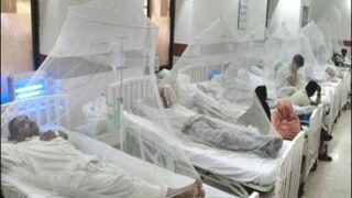 Lahore Dengue