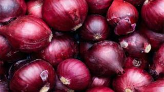 Onion