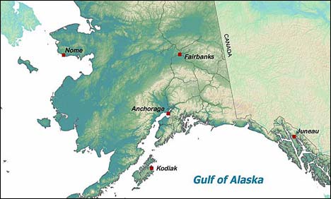 امریکا: الاسکا میں چھوٹا طیارہ گر کر تباہ، ایک شخص ہلاک، 2 شدید زخمی