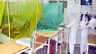Punjab Dengue