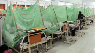 Punjab Dengue