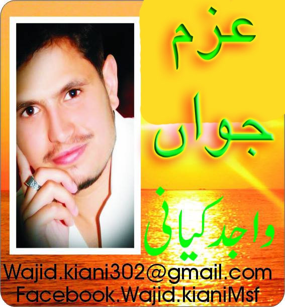 Wajid Kiani