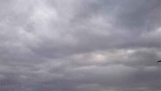 Weather