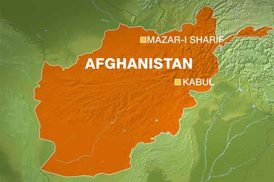 صوبہ بلخ کے نائب گورنر پر خود کش حملہ