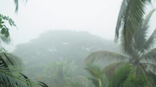 Cold and Dry Season
