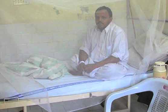 پنجاب میں ڈینگی کے مریضوں کی مجموعی تعداد نو سو پچاسی ہو گئی