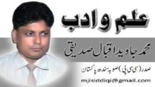 Javed Iqbal Siddiqui