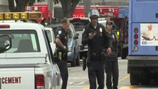 Los Angeles Firing
