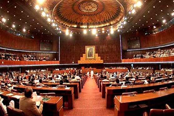 قومی اسمبلی : وزیر داخلہ ڈرون حملوں پر بحث سمیٹیں گے
