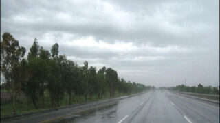 Rain